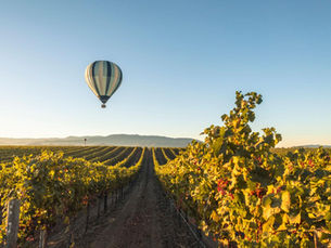  Wine Tourism...Hot Air Balloons and Vinyards