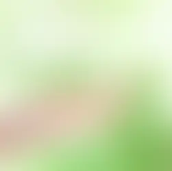 心を動かす映画