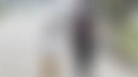 働きながら家族を支え続けてきた、私の暮らし