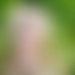 電話サポート活用事例