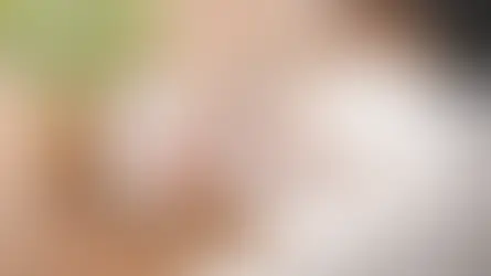 エンディングノート