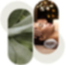 Instant Luminizing Facial with Snow Lotus.jpeg