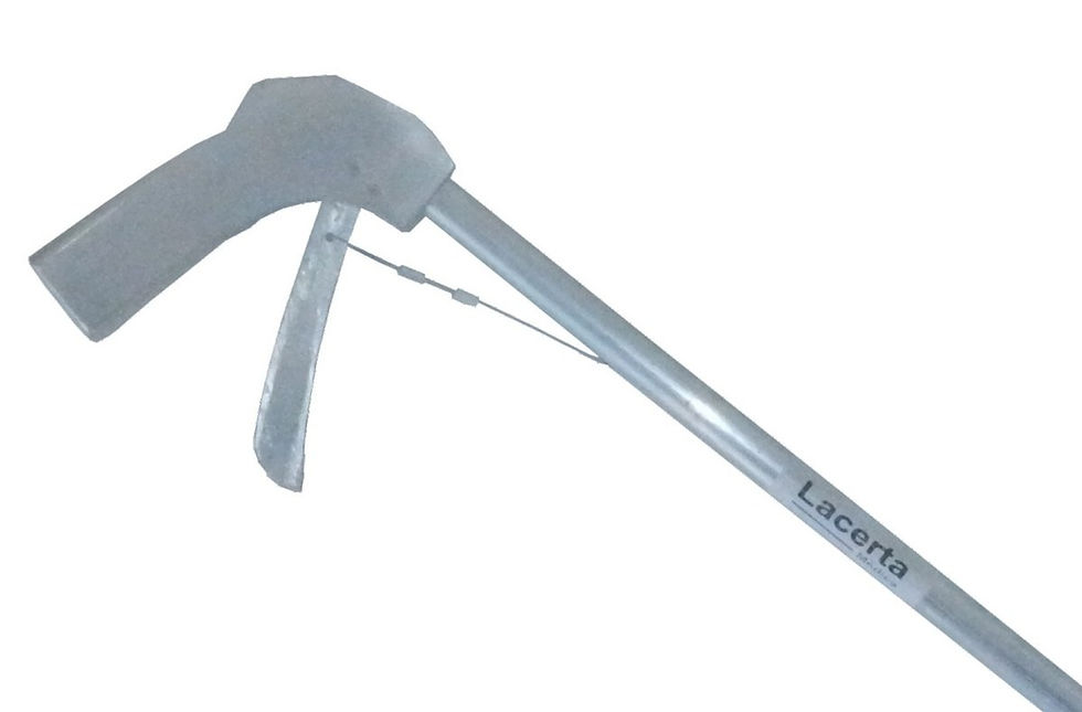 Miniatura: Pinzas Herpetológicas 101 cm
