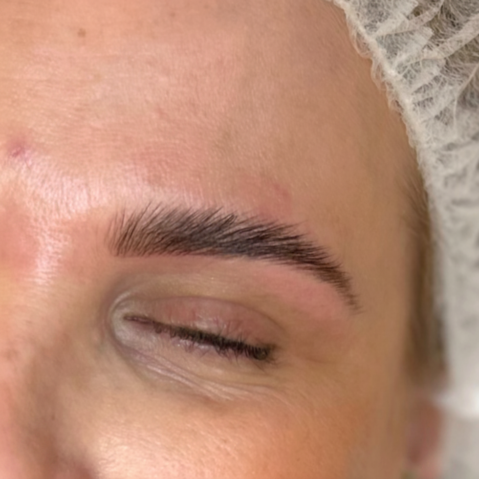 Brow Lamination Course