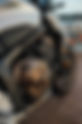 Harley-Davidson Twin Cam Engine Guide: 88 to 110, the Tensioner Story, and Which Years to Buy