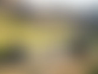 Motorcycle Camping: Tips for Planning Your March Outdoor Adventure