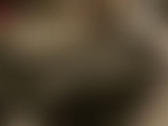 Black History Month Spotlight: Celebrating African American Contributions to Motorcycling