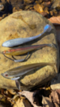 Slim Line Finesse Open pour Swimbait mold