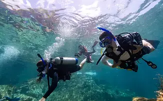 Scuba diver underwater among coral reef and tropical fish in clear Caribbean water near St. John, USVI.
