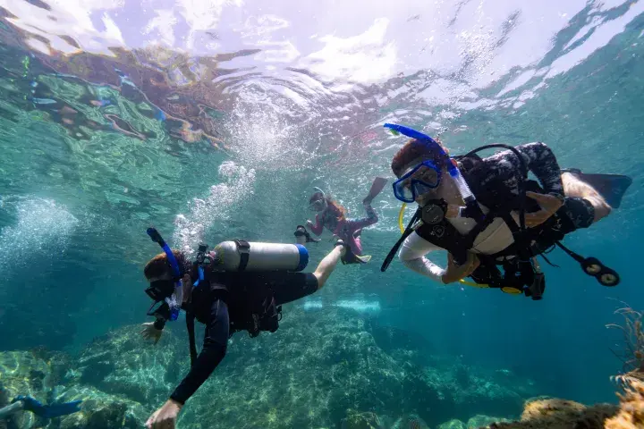 Scuba diver underwater among coral reef and tropical fish in clear Caribbean water near St. John, USVI.