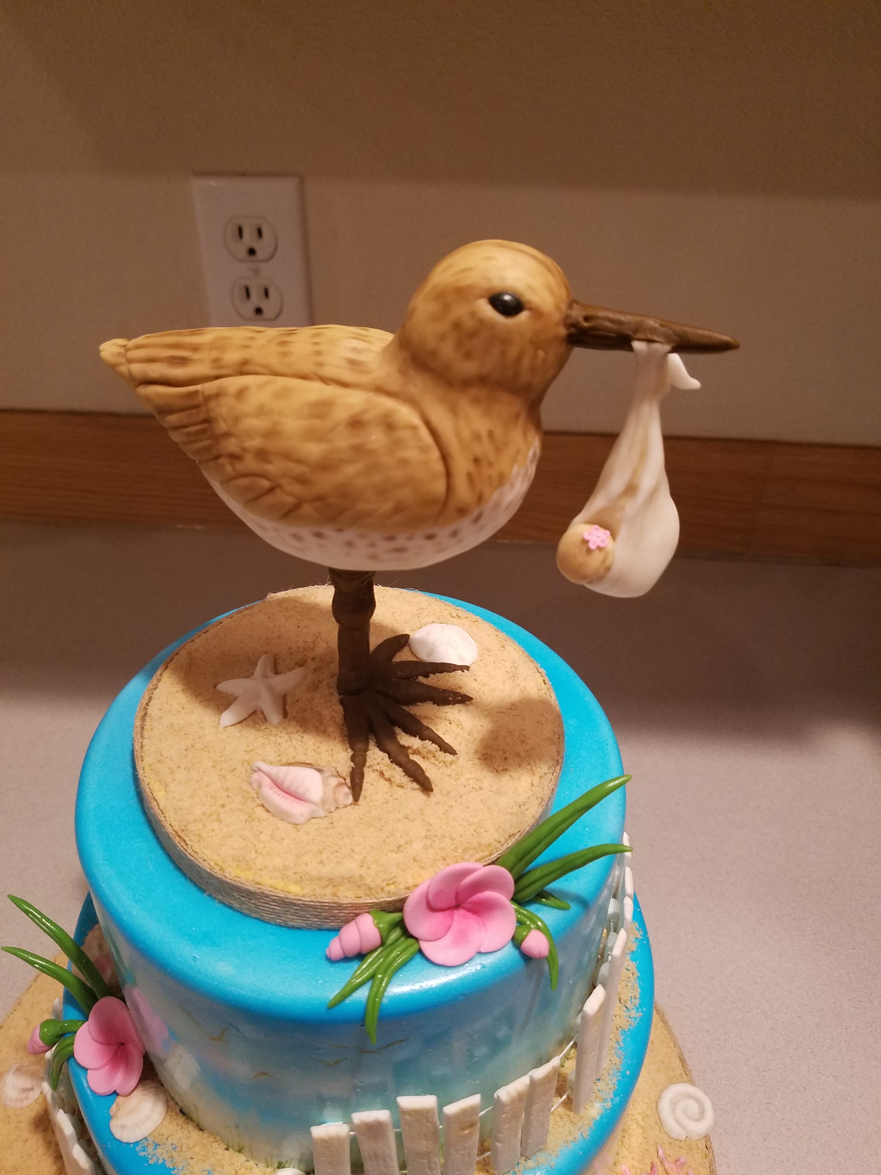 Sandpiper with Baby