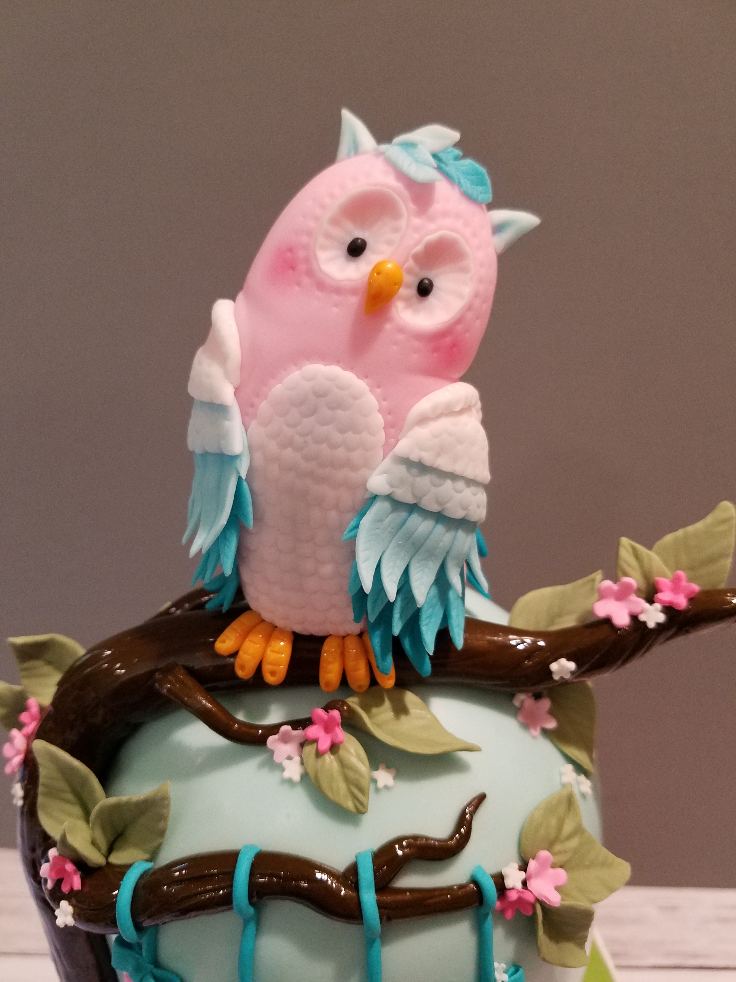 Baby girl owl
