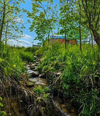 Creek with barn.jpg