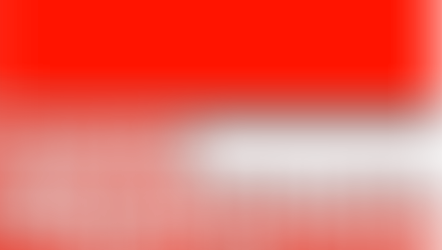 מלגת קרן רוזה לוקסמבורג לגרמניה | Rosa Luxemburg Stiftung (RLS)