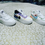 Miniature : Air force pour enfant 