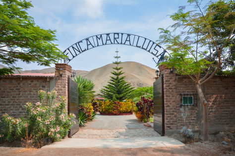 Finca María Luisa: 10 razones para visitarla