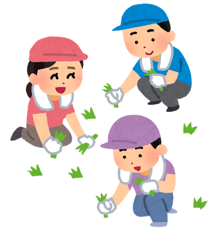 山だけでなく、公園や庭にも生える毒キノコ