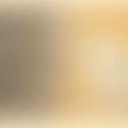 When Love Is a Test: How Our Wounds Keep Us Stuck in Toxic Relationships