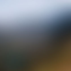 ザコパネで夏満喫！タトラ山脈の絶景ハイキングとおすすめスポット