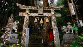 Hidden Gems in Kyushu
