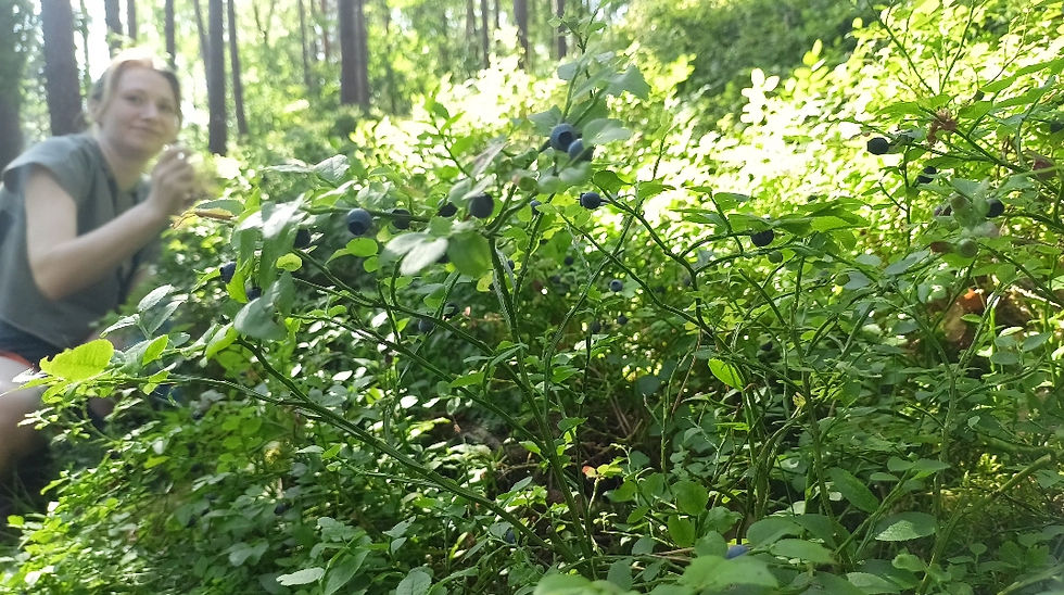 blueberry