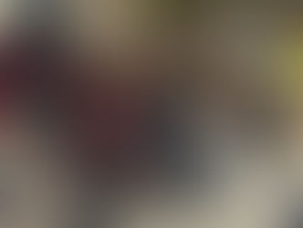 ポーランド自転車レンタル