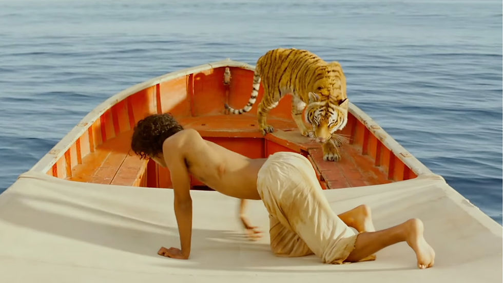 Life_of_Pi