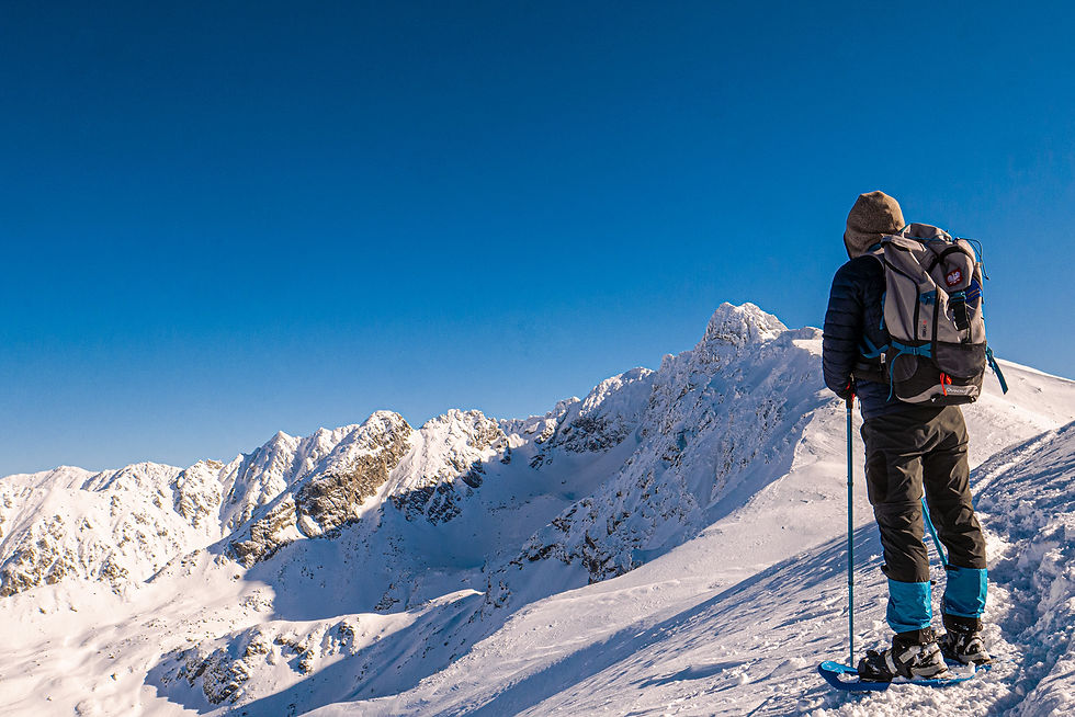 The Secret Life of Walter Mitty
