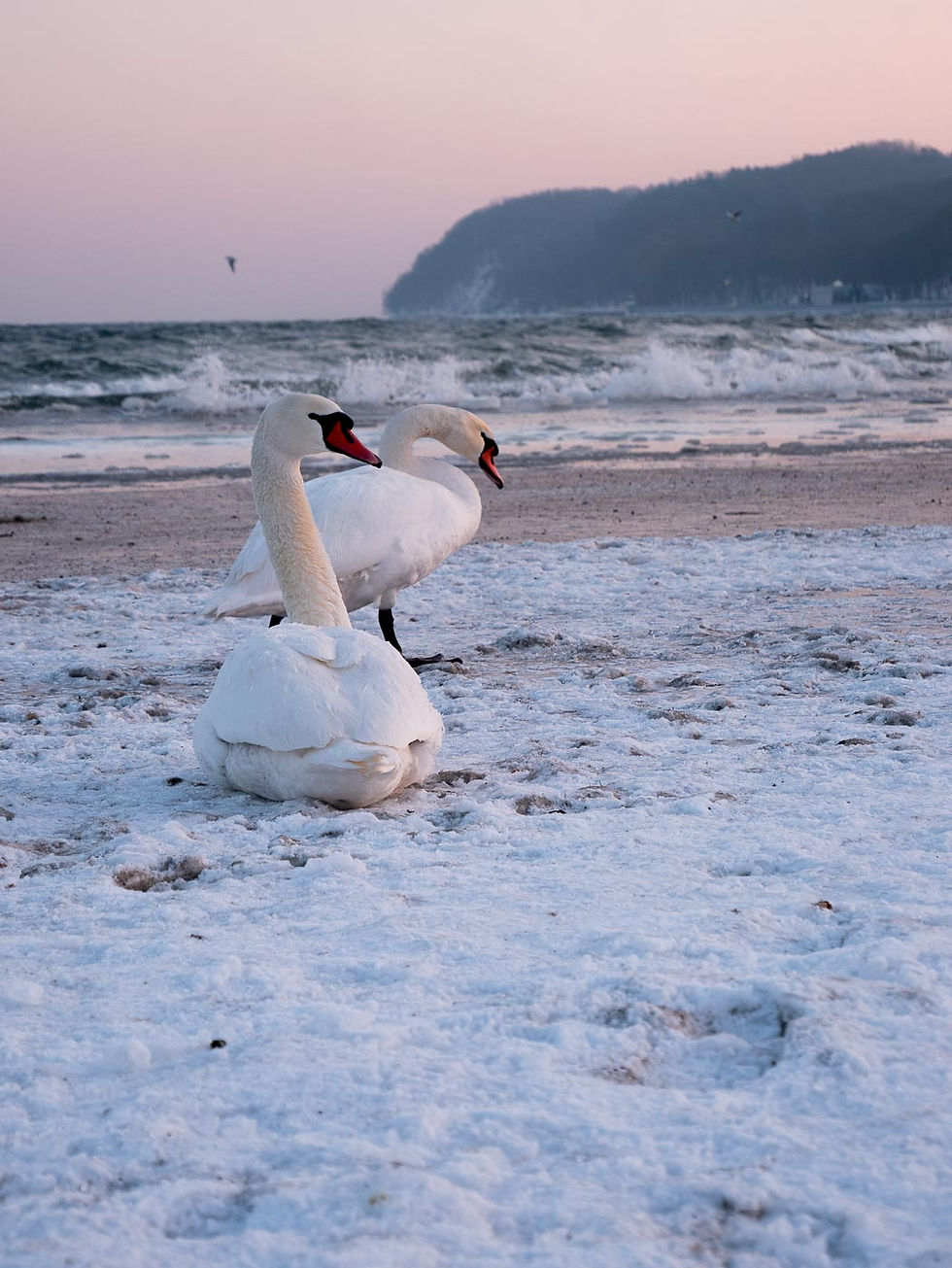 Gdynia Beach Winter
