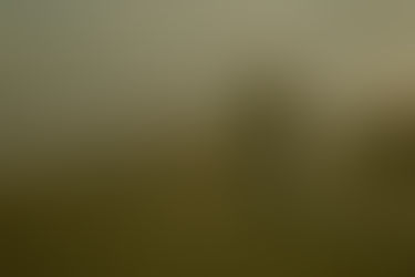 NU ÄR DET DAGS ATT BETALA IN DIN MEDLEMSAVGIFT