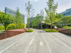 The Art of Hardscaping: Incorporating Stone, Pavers, and Other Hardscape Elements into Your Landscape Design