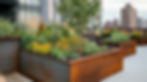 Rooftop garden filled with colourful flowers and plants in an urban setting during late afternoon