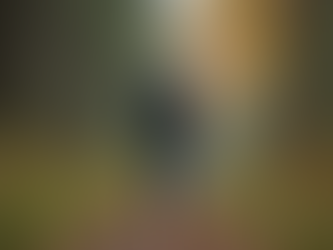 Effective Senior Fitness Tips: Fitness Programs for Individuals Over 50