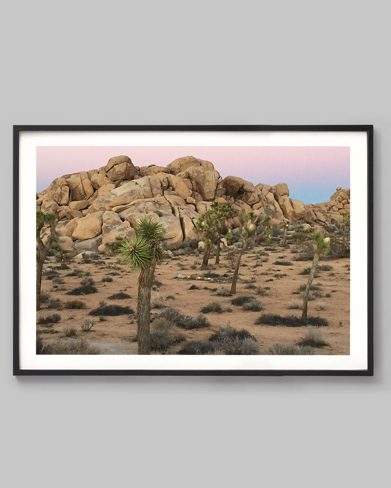Thumbnail: Desert Wonder. (Joshua Tree, California)