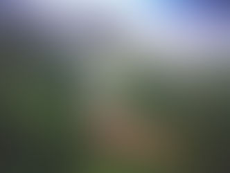 Nine arch bridge in Sri Lanka