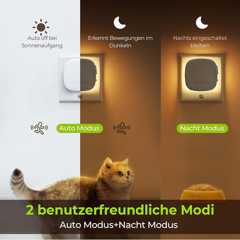 Miniaturbild: Nachtlicht