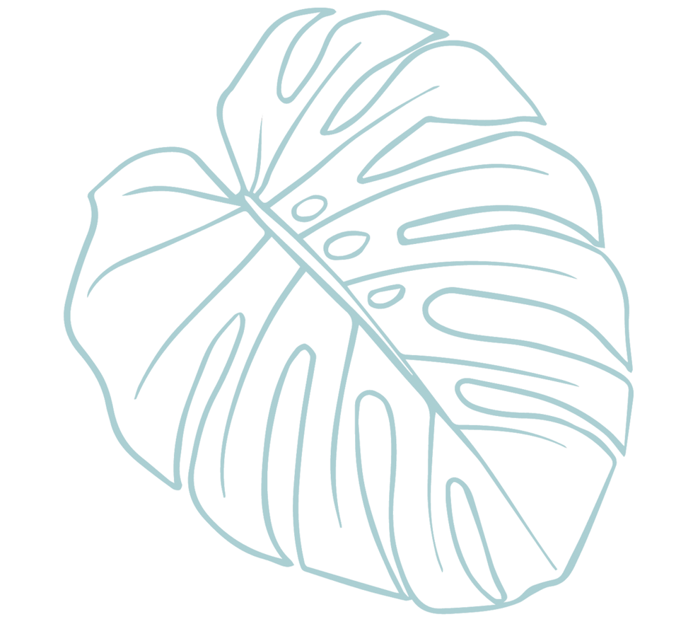 Leaf Icon Transparent 2_edited.png