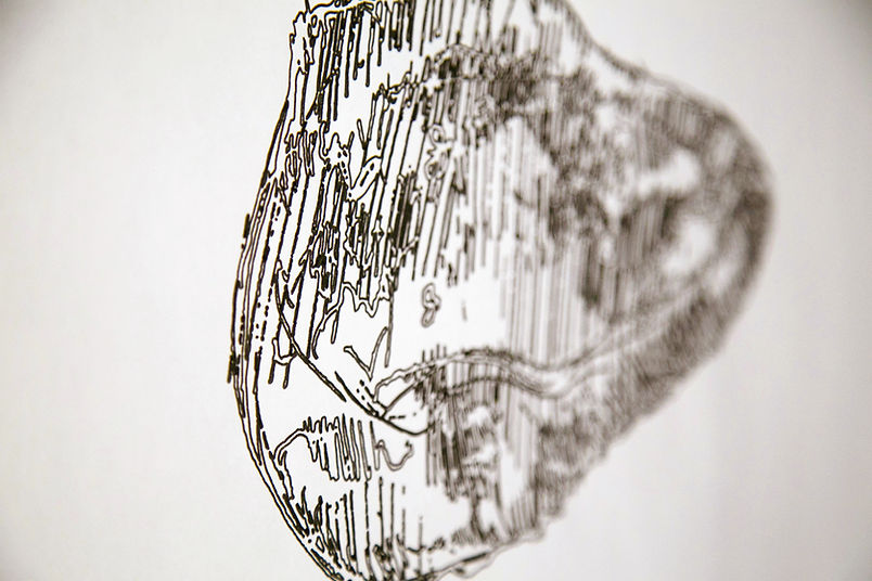 Fig.(8c).jpg