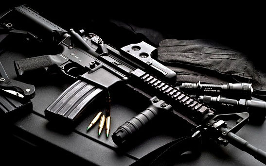 Gun