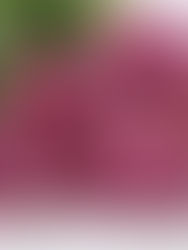 11月キャンペーン　修了生対象✨