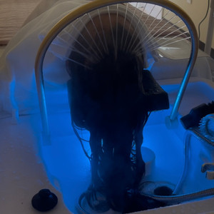 Head Spa Treatments