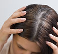 Close up are fragments of gray hair on the head of a young woman. Early gray hair concept.