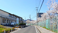 桜の風景 嵩の杜