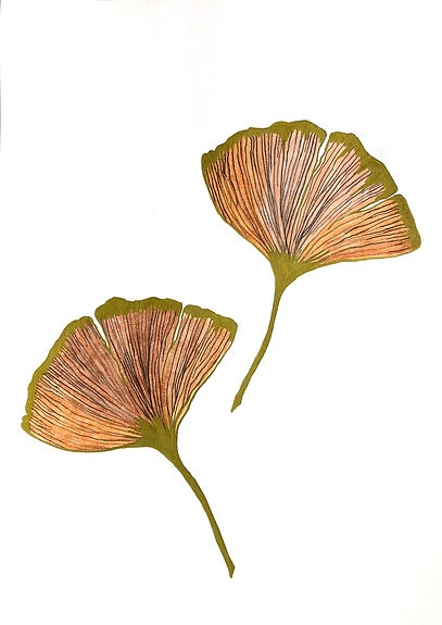 Ginkoblätter_edited.jpg