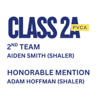 WPIAL AND ALL SECTION (2).png