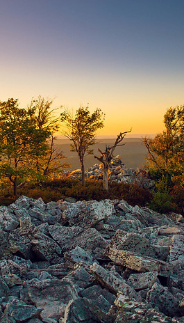 Standing Stone Trail, The Throne Room.