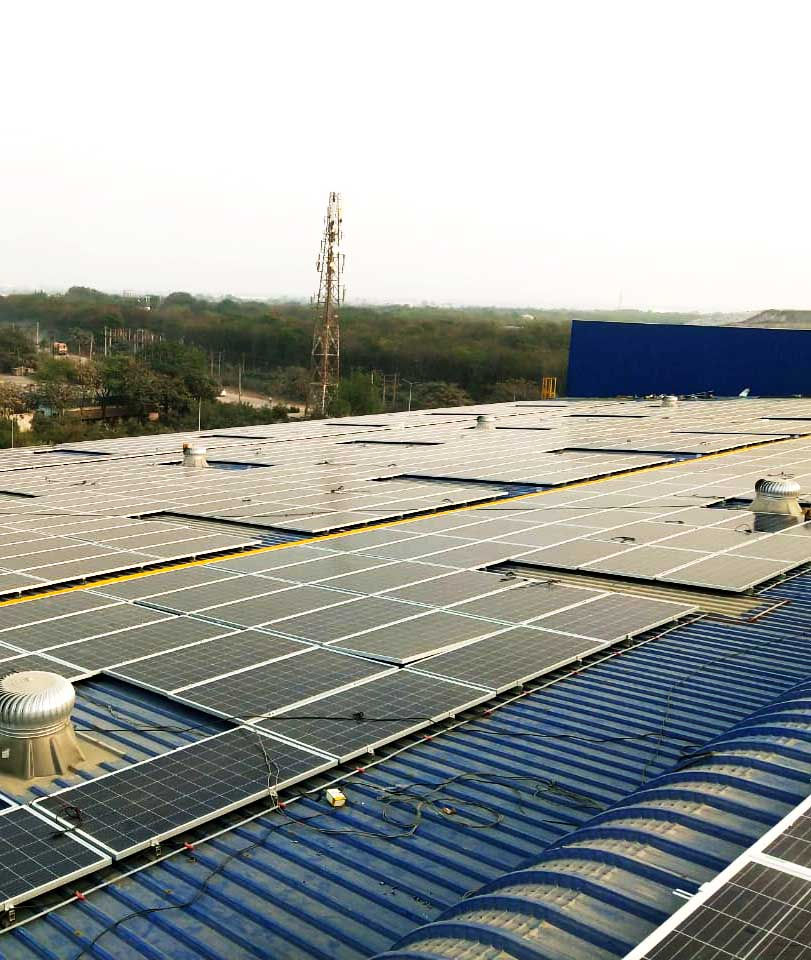 WhatsApp Image 2026-01-17 at 4.03.04 PM.jpeg