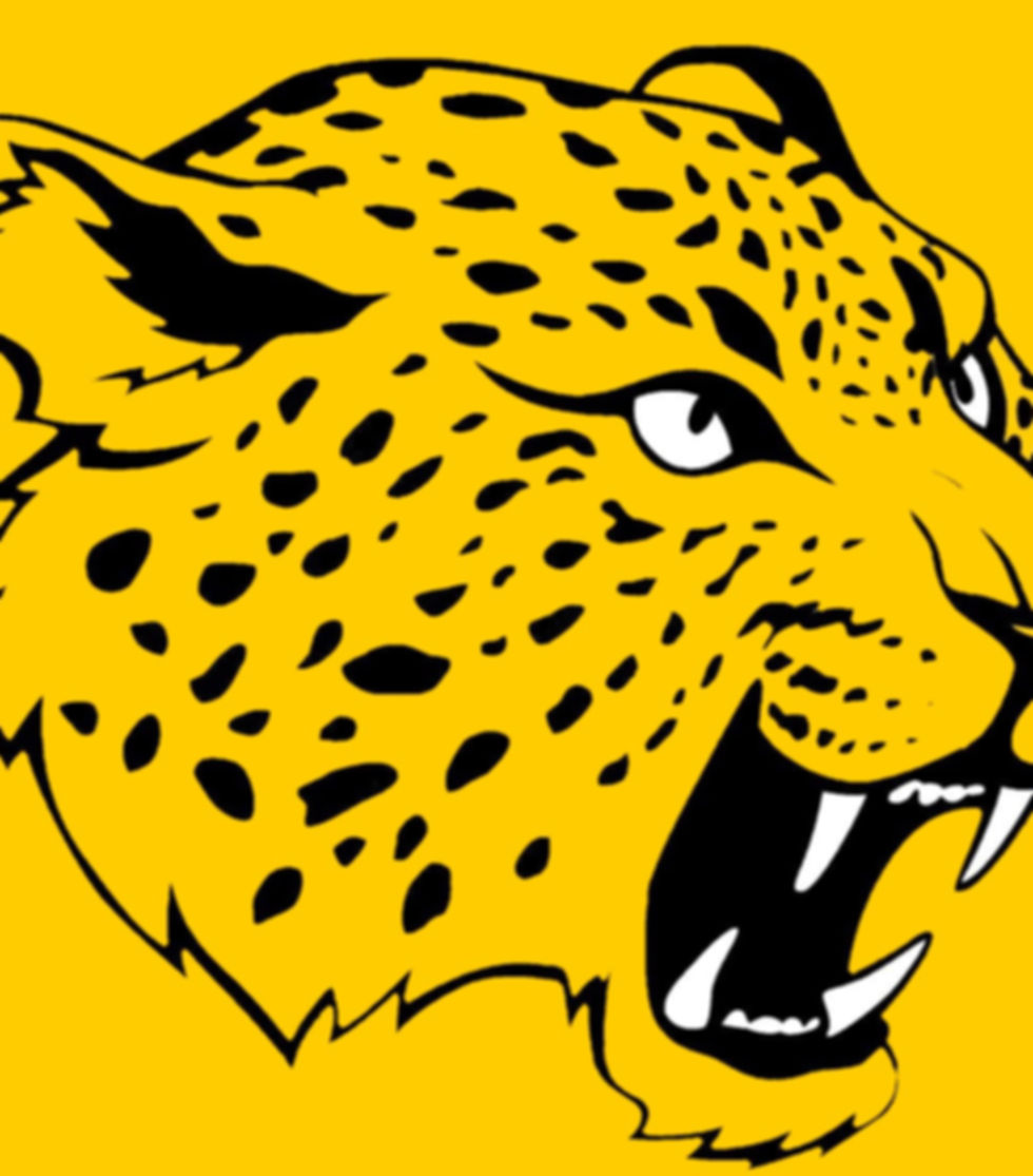 sun yellow jaguar .jpg