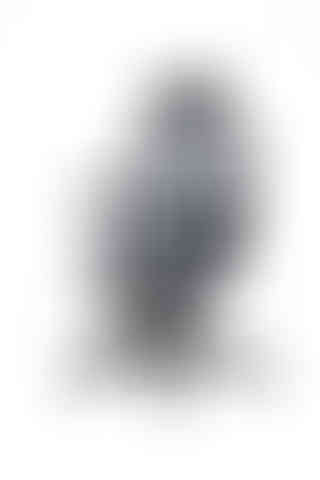 Herman Miller Aeron Size B Remastered & Headrest