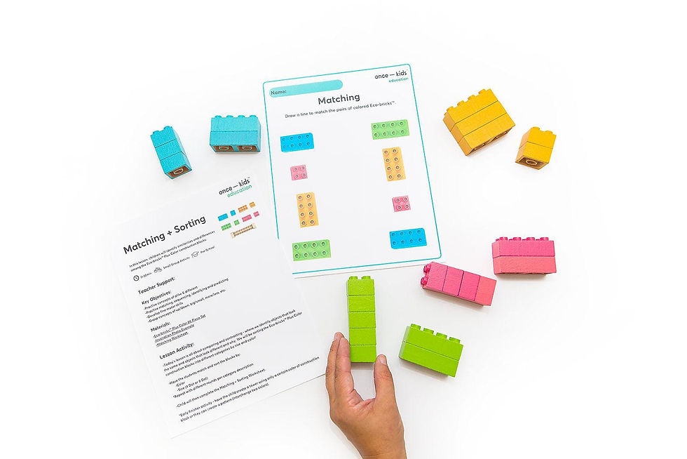 Eco-Bricks Plus Color Wood Education 66 pcs, Once Kids
